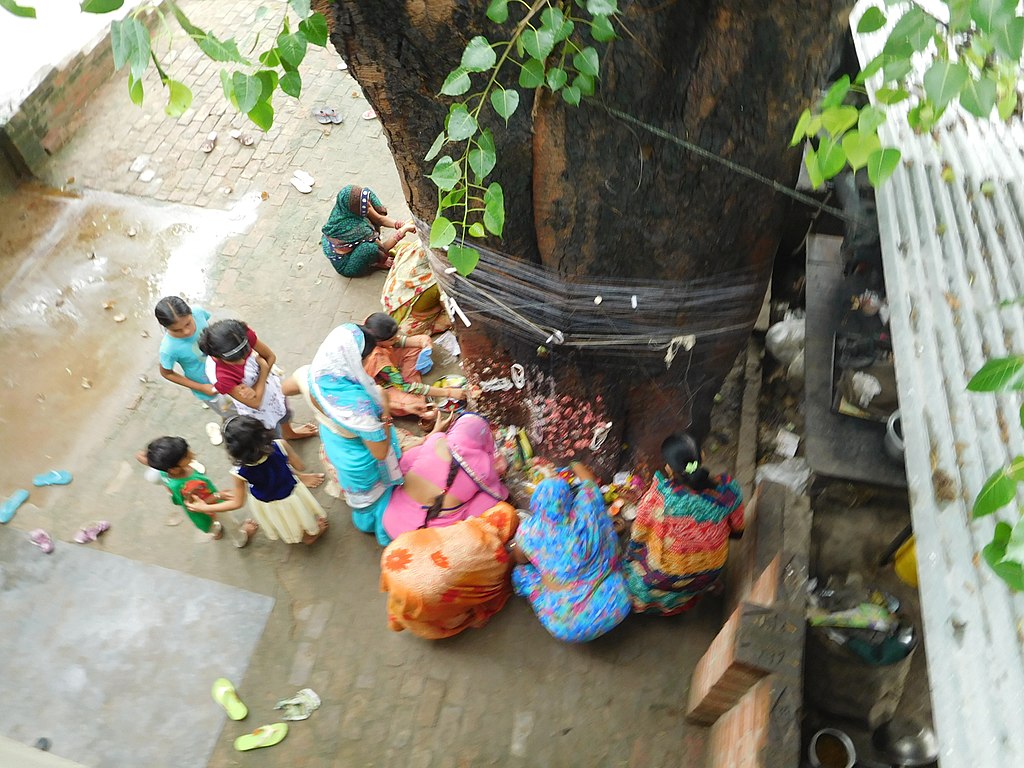 सोमवती अमावस्या क्या है