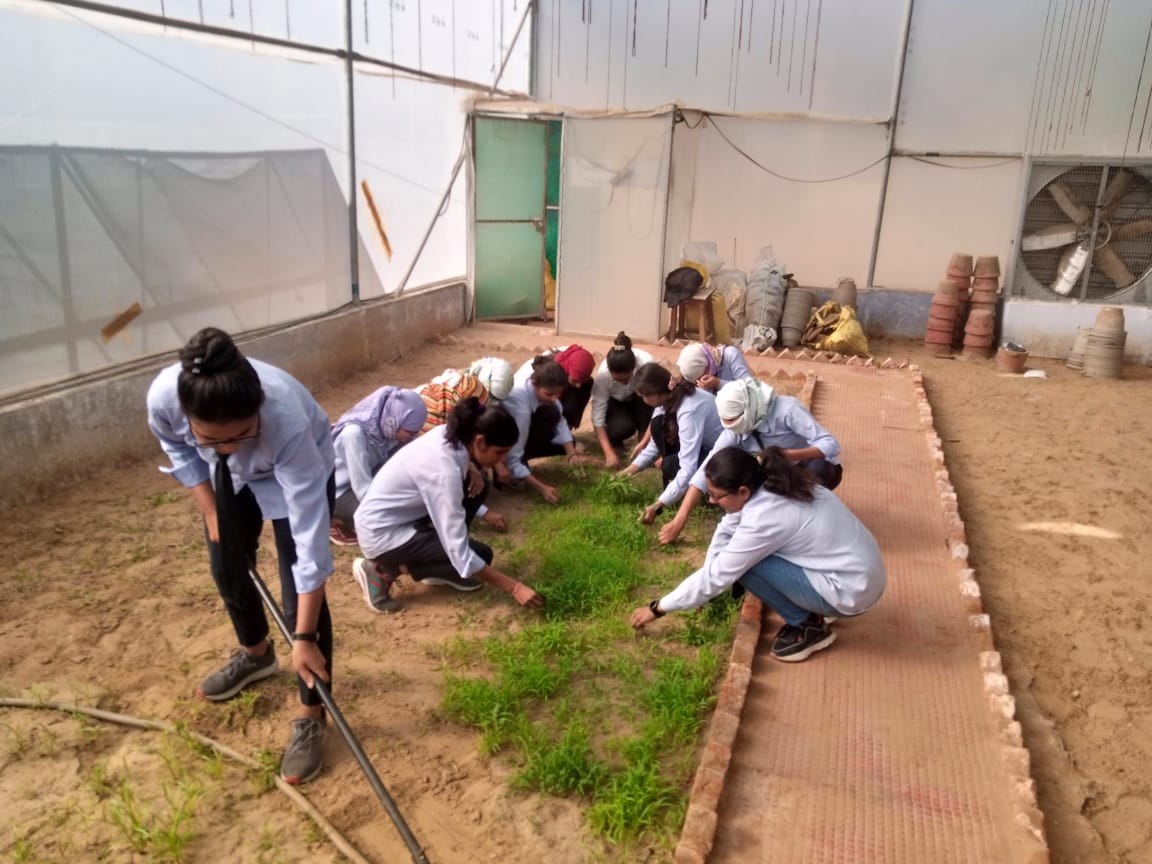 राजस्थान सरकार देगी एग्रीकल्चर की छात्राओं को 15 से 40 हजार रुपए