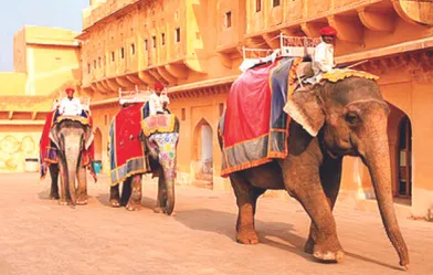 हाई कोर्ट ने आमेर फोर्ट हाथी सवारी की दरें घटाने का आदेश किया रद्द