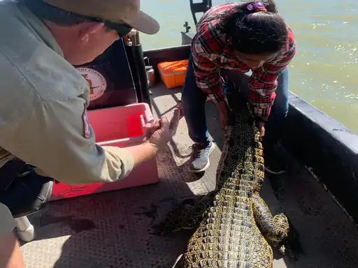 राजस्थान की पहली महिला ‘वन दुर्गा अवार्डी’ प्रेम कंवर शक्तावत