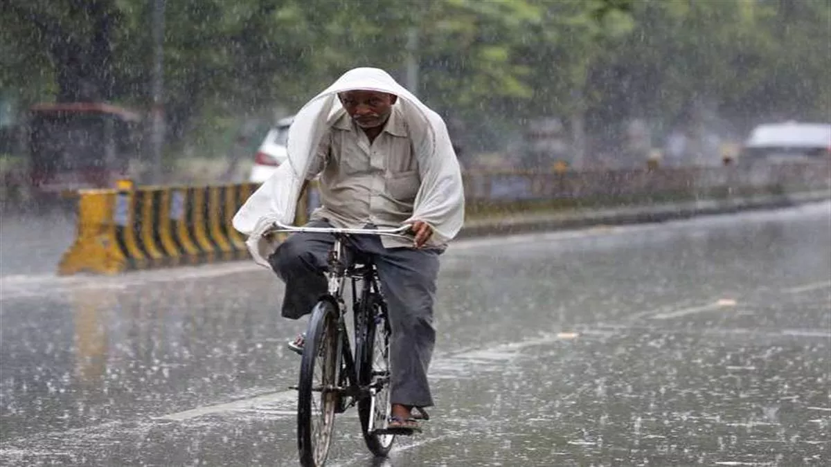 राजस्थान में मानसून का असर: सड़कें बनीं दरियां, 5 दिन का ऑरेंज अलर्ट