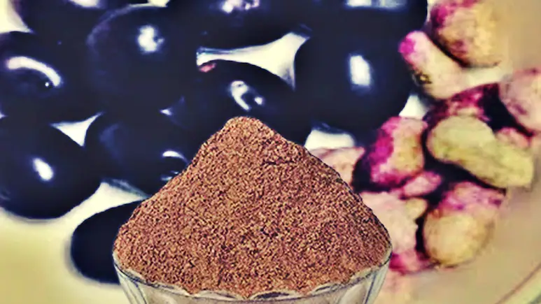 जामुन की गुठली का चूर्ण: डायबिटीज, ब्लड प्रेशर, मोटापे का इलाज