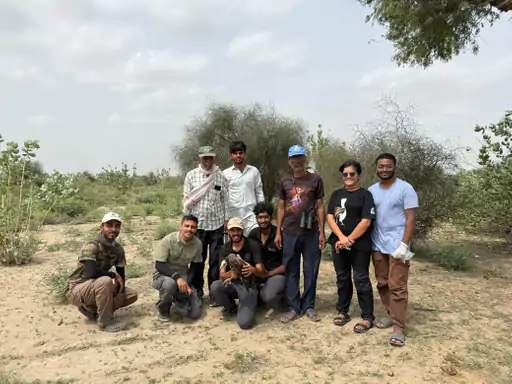 जैसलमेर : गिद्ध और बाज पर WII वैज्ञानिकों ने शुरू किया वल्चर प्रोजेक्ट