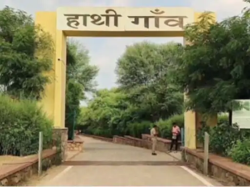 जयपुर में विश्व हाथी दिवस पर होगा अनूठा फैशन शो