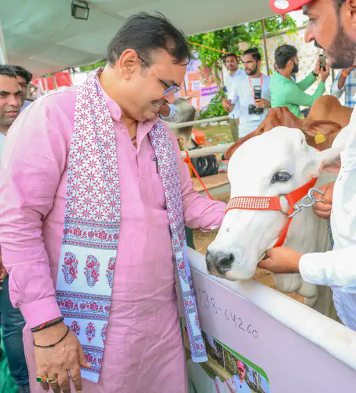 सीएम भजनलाल का संदेश: गौ माता हमारी संस्कृति और आर्थिक मजबूती का आधार