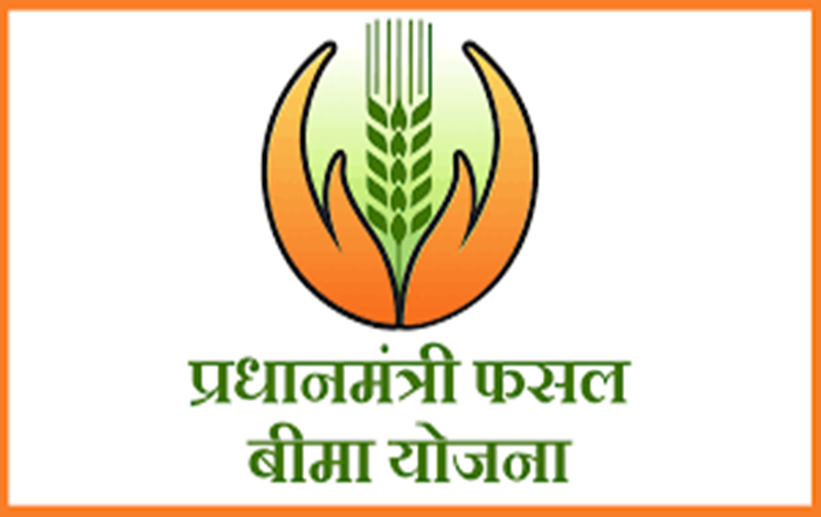 फसल बीमा योजना मे फसल नुकसान के 72 घंटे में देनी होगी सूचना