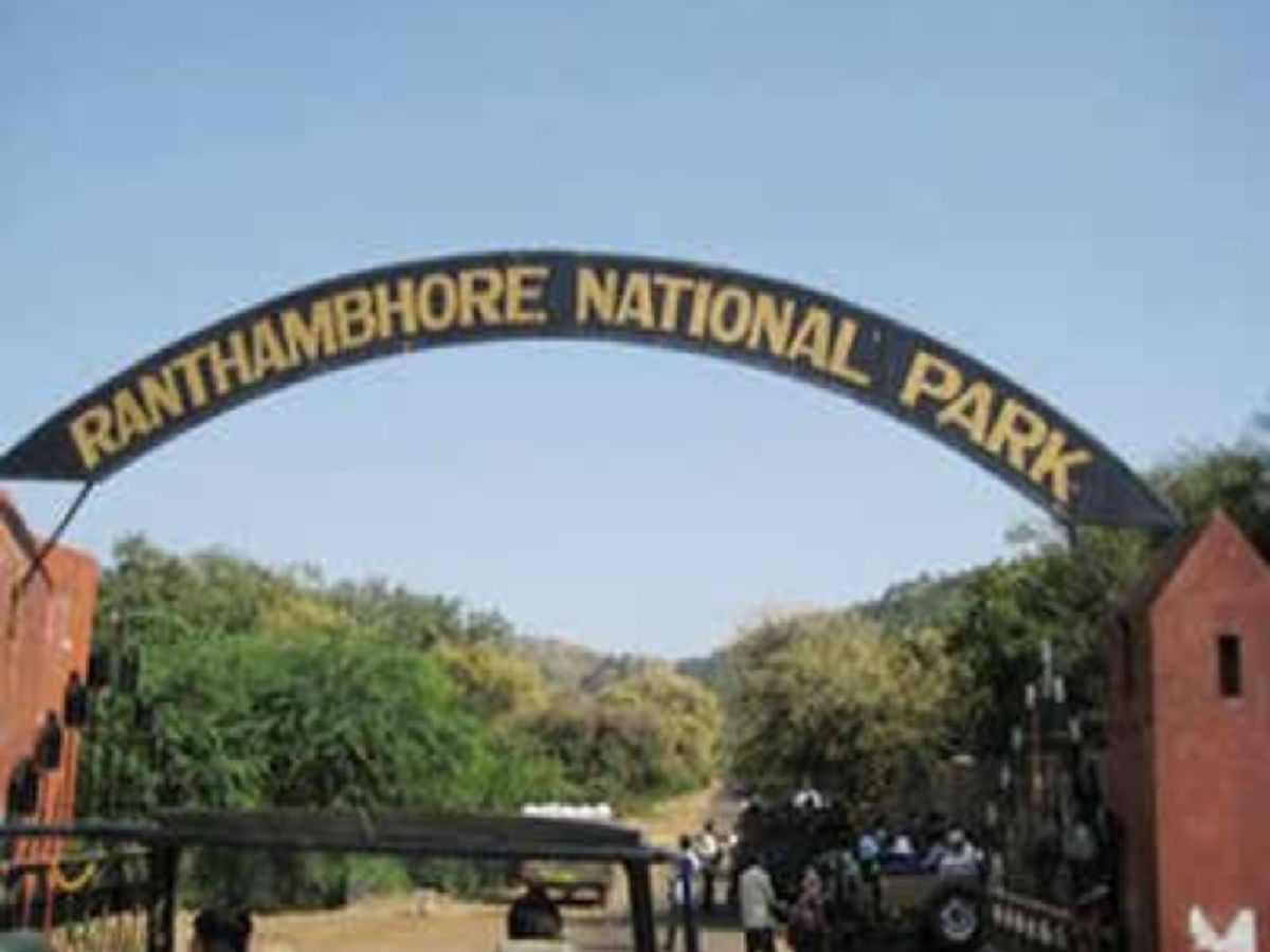 रणथम्भौर टाइगर रिजर्व में वीकेंड पर पर्यटकों की भीड़