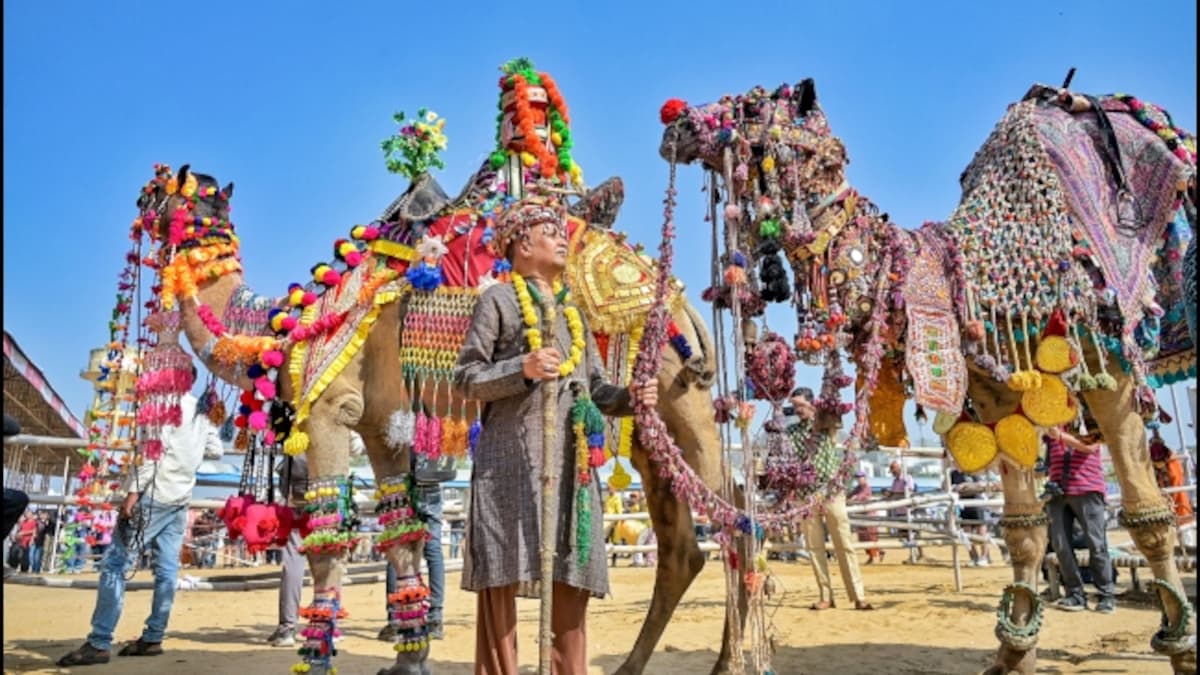 पुष्कर मेला 2025 : दीया कुमारी ने किया उद्घाटन, 72 करोड़ का घोड़ा ‘बुर्ज खलीफा’ बना आकर्षण