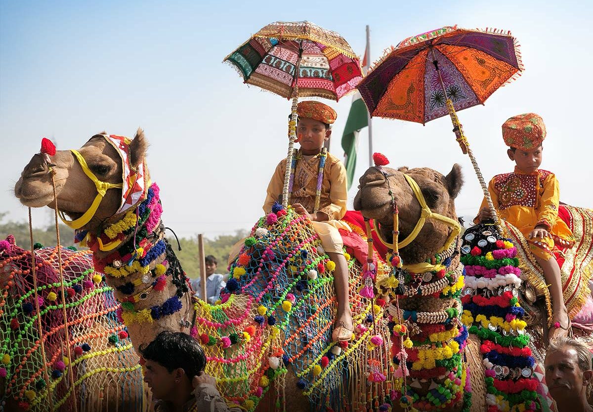 अंतरराष्ट्रीय पुष्कर मेले की रौनक बढ़ी, 3000 से ज्यादा पशु पहुंचे, 30 अक्टूबर को होगा विधिवत शुभारंभ