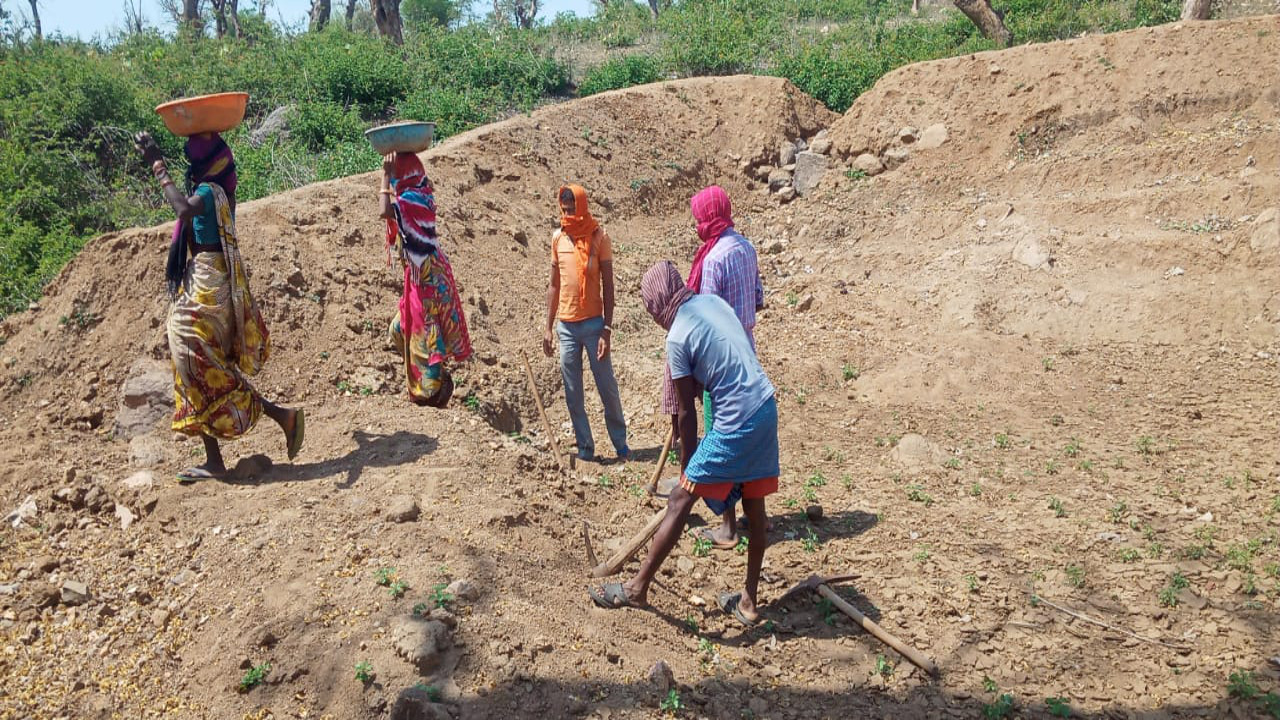 पाली में मनरेगा घोटाला: एक दिन में 81 और 99 श्रमिकों की ‘कथित मौत’, पोर्टल पर फर्जीवाड़े का खुलासा