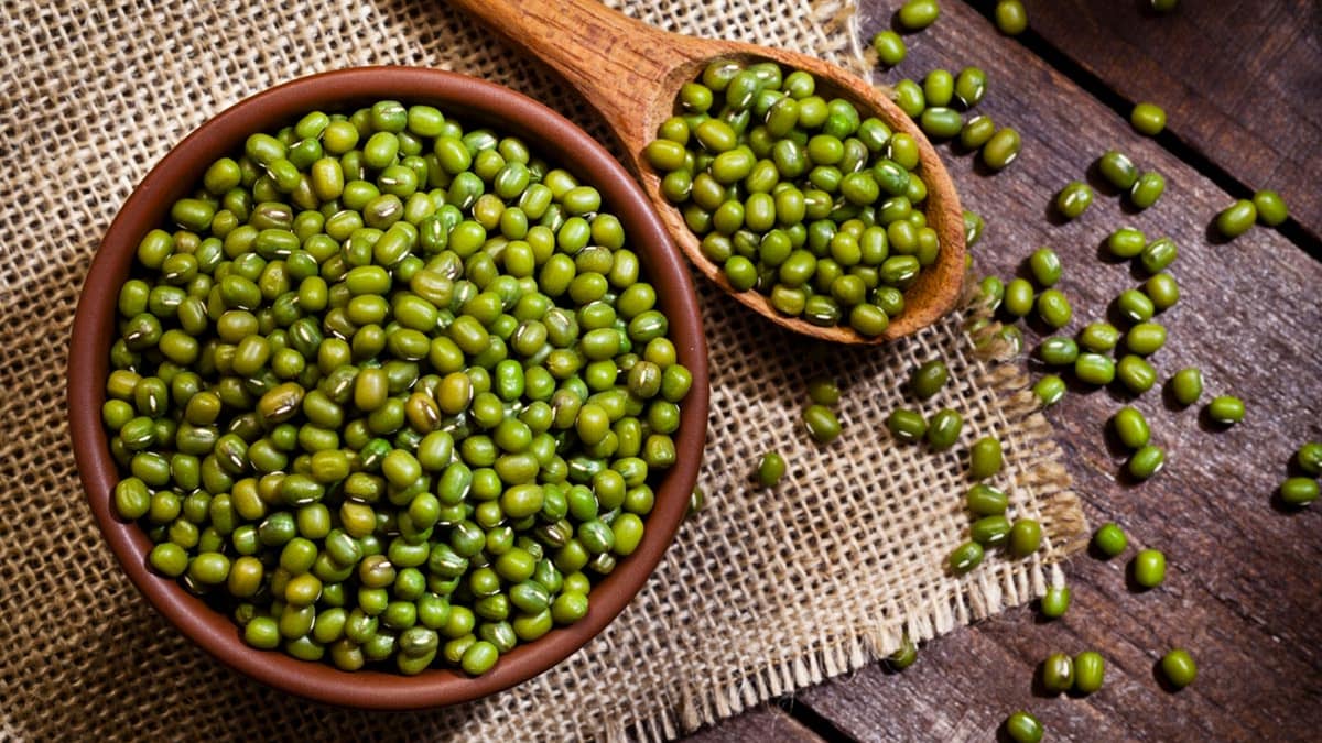सरकार मूंग की खरीद 24 नवंबर से शुरू, प्रति किसान सिर्फ 40 क्विंटल तक सीमित