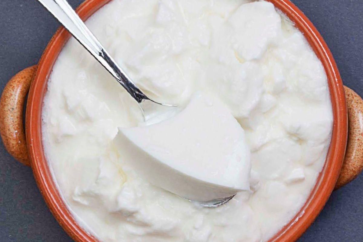 सर्दियों में दही कैसे खाएं ताकि सेहत को मिले सिर्फ फायदा – आयुर्वेद बताता है सही तरीका