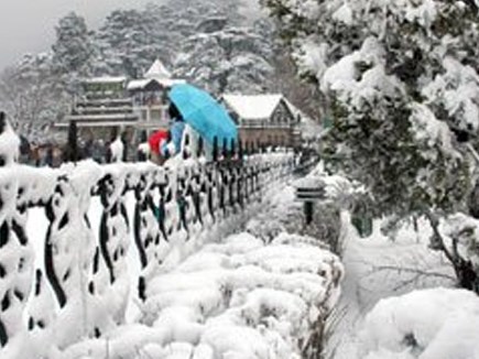 राजस्थान में शीतलहर का अलर्ट: 7 जिलों में कोल्ड वेव, माउंट आबू में जमी बर्फ