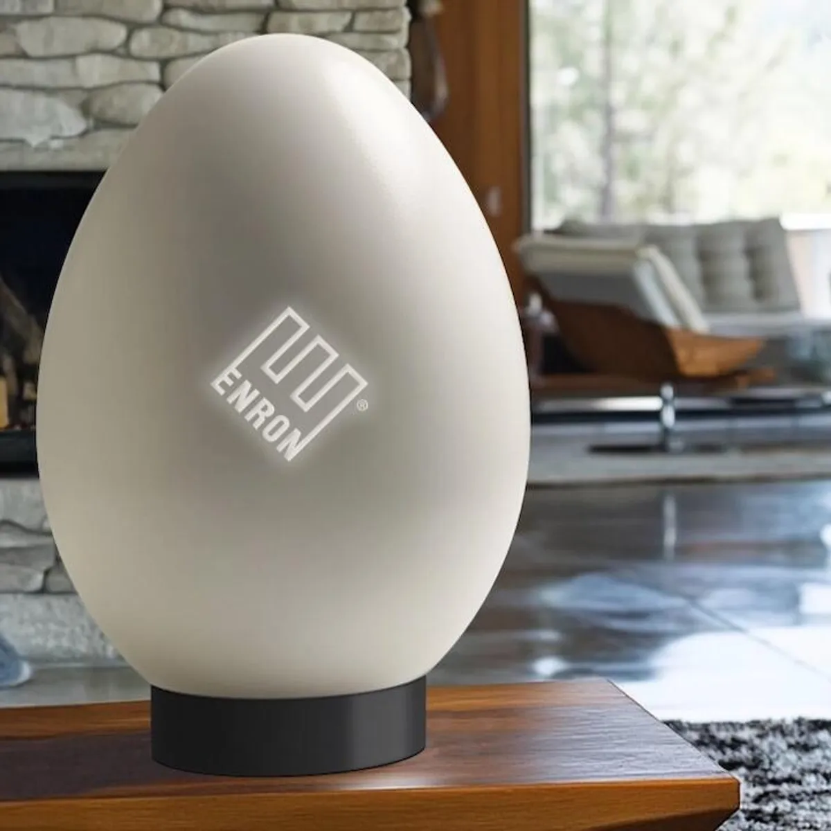 Enron Egg Viral Claim Fact Check: माइक्रो न्यूक्लियर रिएक्टर का सच