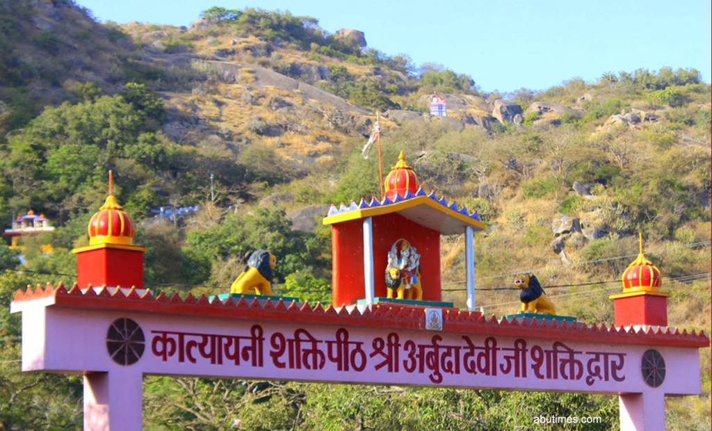 माउंट आबू में अनोखा नजारा, मंदिर पहुंच रहे भालू