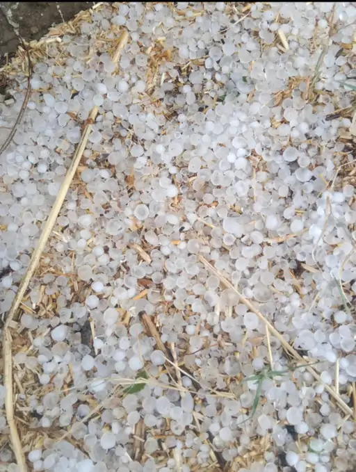 अजमेर में बदला मौसम: तेज बारिश और ओलावृष्टि से राहत