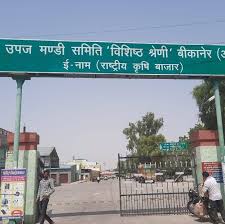 बीकानेर मंडी में बारिश से भीगा अनाज, किसानों को भारी नुकसान